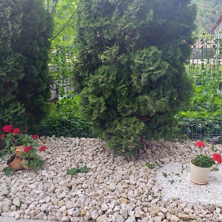 Miraj Otel Azuga Dış mekan fotoğraf