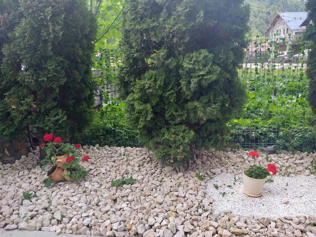 Miraj Otel Azuga Dış mekan fotoğraf