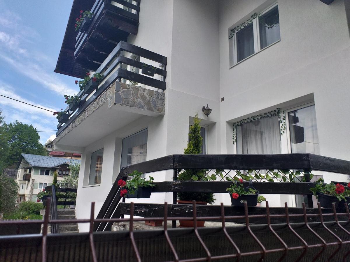 Miraj Otel Azuga Dış mekan fotoğraf
